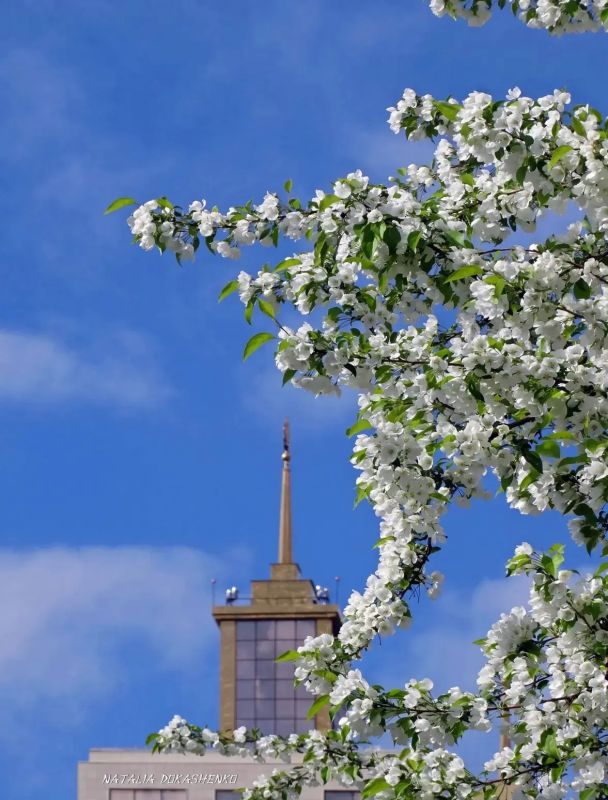 ������ ����! ������� ������ �� 20 ������