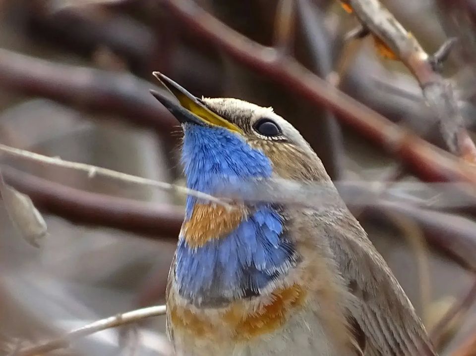 ����� ����� ���� � ���������� �� ����� ������