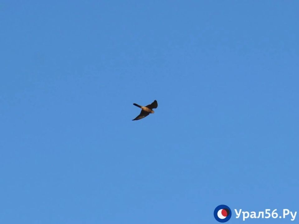 ������� � ����� ������� ������