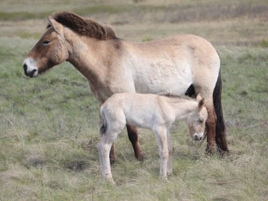 � ������������ ����������� � ���� ���� ������� ������ ��������� ������ �������������