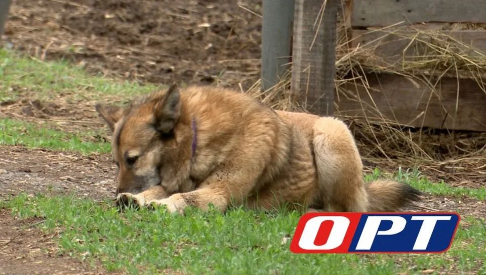 ����������� ������������ ������� ������� �� ������������� ��������� ������ ������� �� ������ ������������ ��������