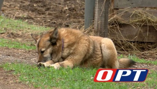 ����������� ������������ ������� ������� �� ������������� ��������� ������ ������� �� ������ ������������ ��������