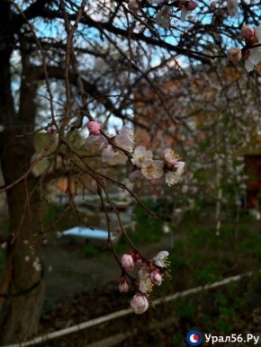 ����� � �����