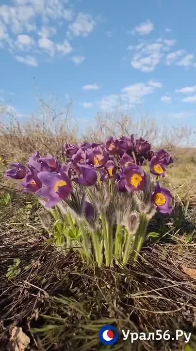 ��������, ����� � ���-�����: � ����� ������������ ������� ������� ����������