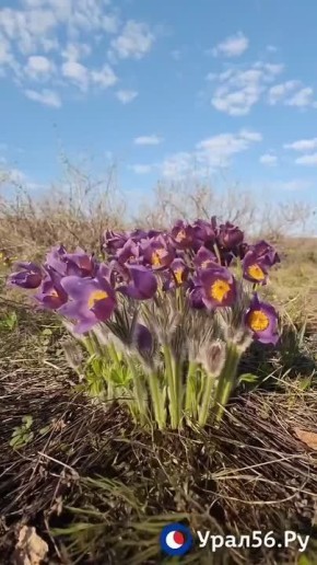 ��������, ����� � ���-�����: � ����� ������������ ������� ������� ����������