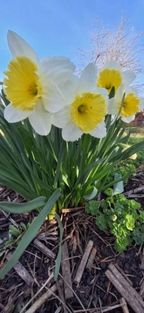 ������ ����! ������� ������ �� 21 ������