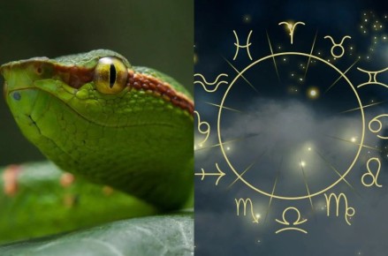 ��� ���������� ����: �������� ��� ���� ������ �������