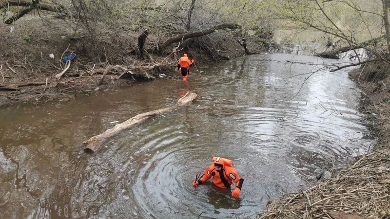 ��������� ������ � ���������� ���� ���������������� ���������� �������