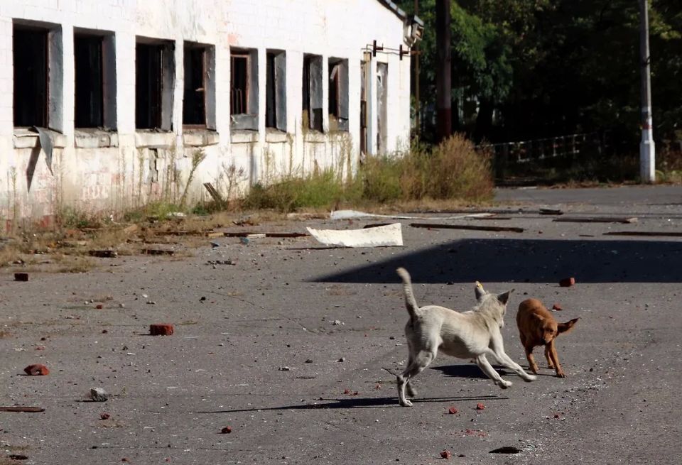 �� ����� ��������� ������ � ��� ��-�� ���� ��������� ����� �� ������