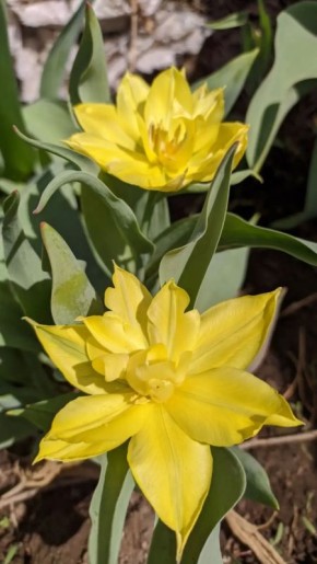 ������ ����! ������� ������ �� 22 ������