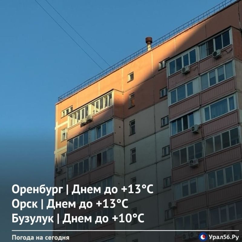 ������ ����