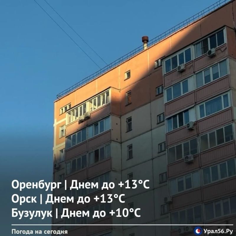 ������ ����