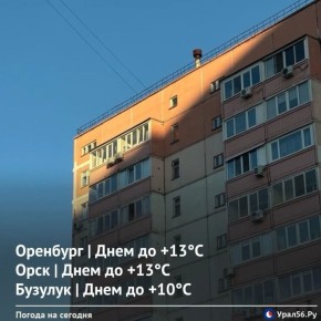 ������ ����