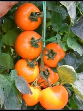 ����� ����� �����: ��������� ������ � ������� ������������ � ����������� ������