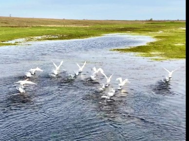 ������ ����! ������� ������ �� 23 ������