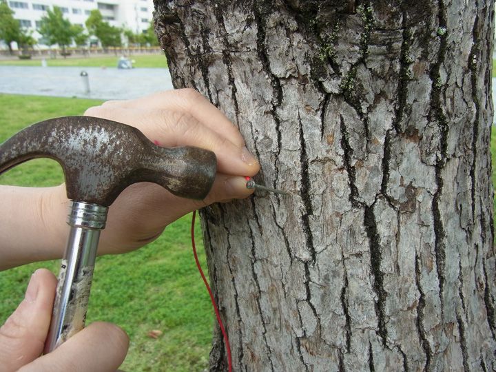 ������� ������ �� ���� � ������� � ��������: ������ ��� �������?