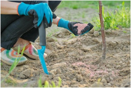 ����� ���������: ��� ��������� ������������� ��� � ������