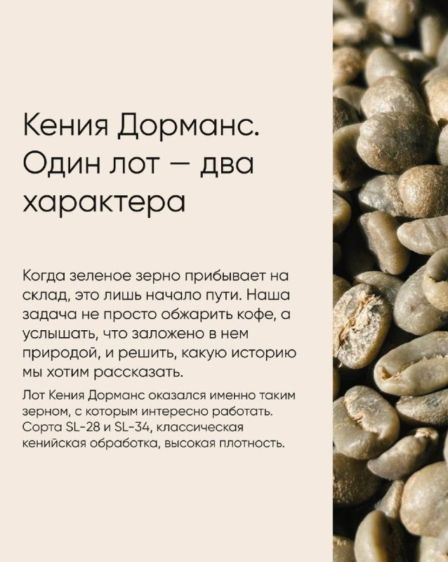 ������� ���������� �����: ��� ������ ������ ������