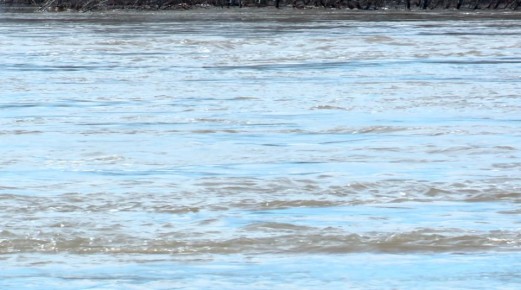 � ������������ ������� �������� ������������� 4 ����������� �����