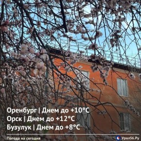 ������ ����