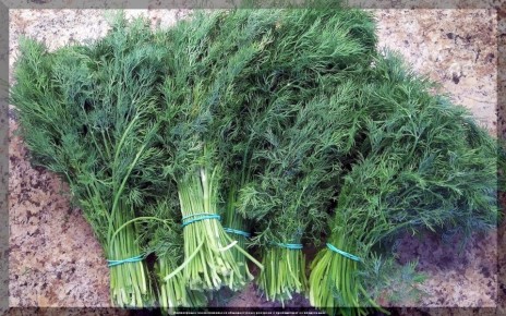 ��� �������� ������� � �������: ������ ��� ��������