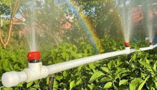 ��� ������� ����������� ����� ������: ����������� ����������� �� ���-����