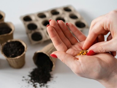 ������ ����: ��� ��� ������ �� ����� ����� � ������ �������� ��������