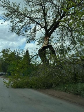 � �������� ������ ����� �� 28 �/� ����� ������� � ���������� ���������