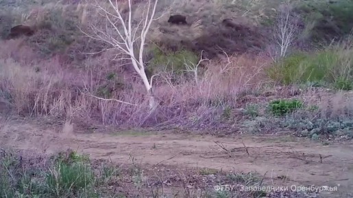 ��������� �������� � ������� ����� ������� ������, �������, � �����, ����� �������� :)