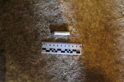 ������������� ������������ �������� ����� ������� ������� � ����������� ���������