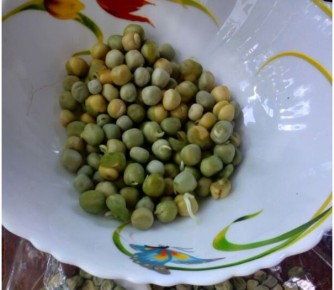 ��� ������� ��������� �����: ������� ���������