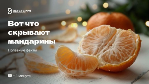 ������ ��������� �������� �������� ������ ����������