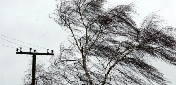 ������������� ����� ��-�� ������� ������ � ����������