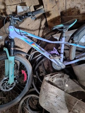 � ��������������� ������ ������������ �������� ������������� � ����� ����������