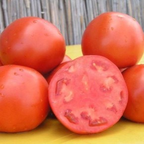 ����� ����: ������� ��������� ����������� � �������� ������