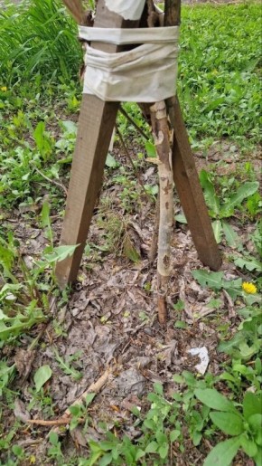 ������ ��������� �������� � ����� �������� �� �����