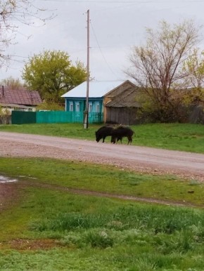 � ���� ������ ����������� ������ ����� ���� ��� ����� ������