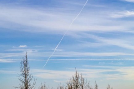 � ���������� ������������ ��������� ������������ �����������