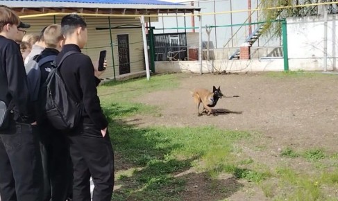 � ������ ����� �������, ��� ������� �������� ����������� ����������� ������������ ��������� �� ���������� ��������