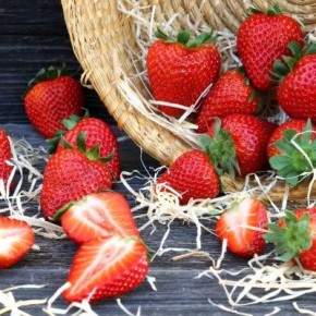 �������� �����: ��������� ����� ��� ������ ����