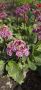 ������ ����! ������� ������ �� 2 ���!
