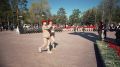 � ���������� ������ ������������� ���������� ������������� ���� ����������� �������