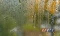 7 ��� � ���������� ��������� �����, ������ � ����