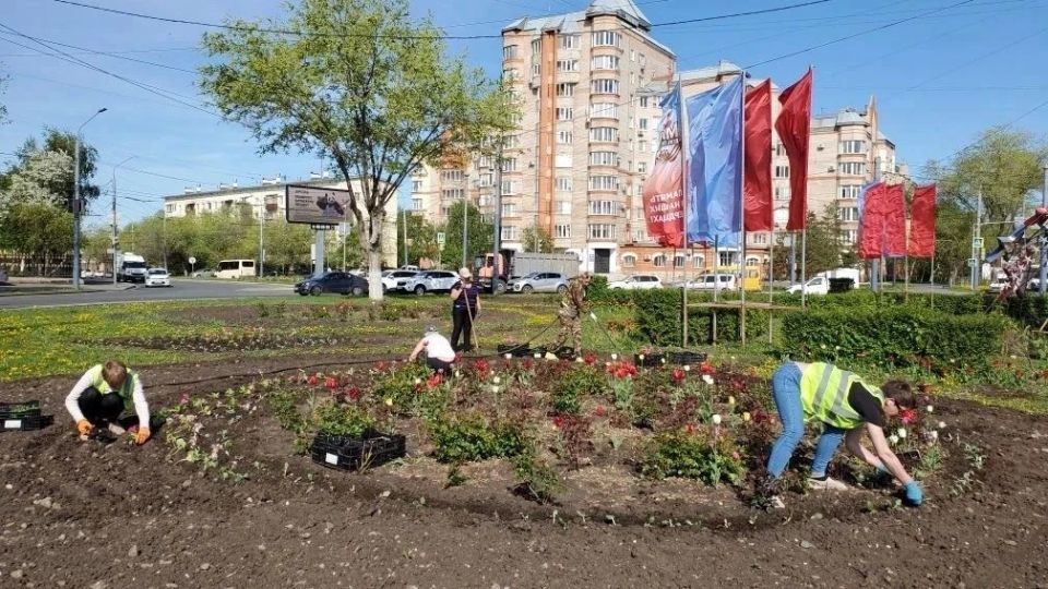 Клумбы Оренбурга становятся ярче! Клумбы Оренбурга становятся ярче!