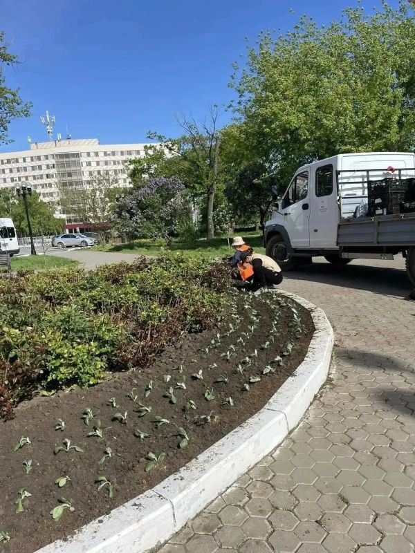 Клумбы Оренбурга становятся ярче! Клумбы Оренбурга становятся ярче!
