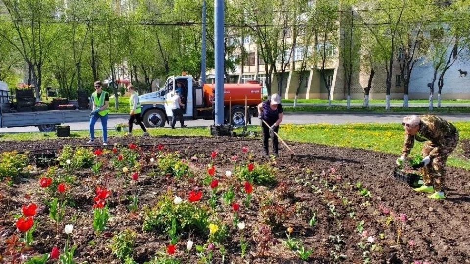 Клумбы Оренбурга становятся ярче!