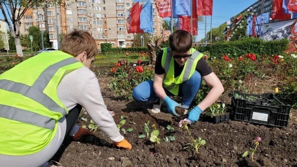 Клумбы Оренбурга становятся ярче! Клумбы Оренбурга становятся ярче!