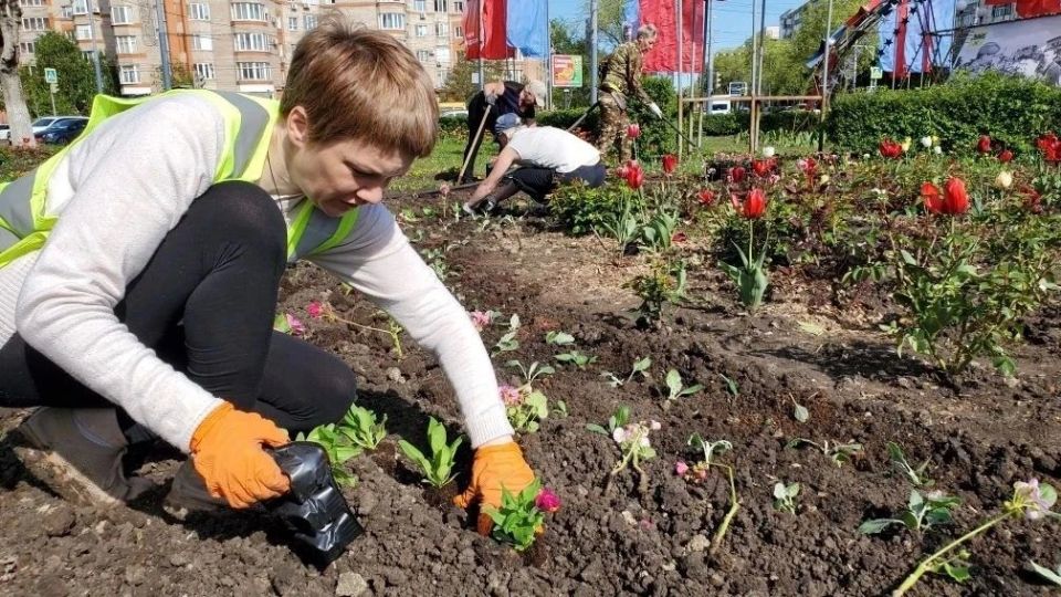 Клумбы Оренбурга становятся ярче! Клумбы Оренбурга становятся ярче!