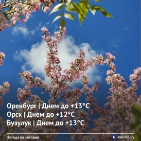 Доброе утро