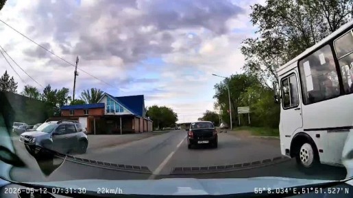 Косулю сбил автомобиль на Шарлыкском шоссе в Оренбурге